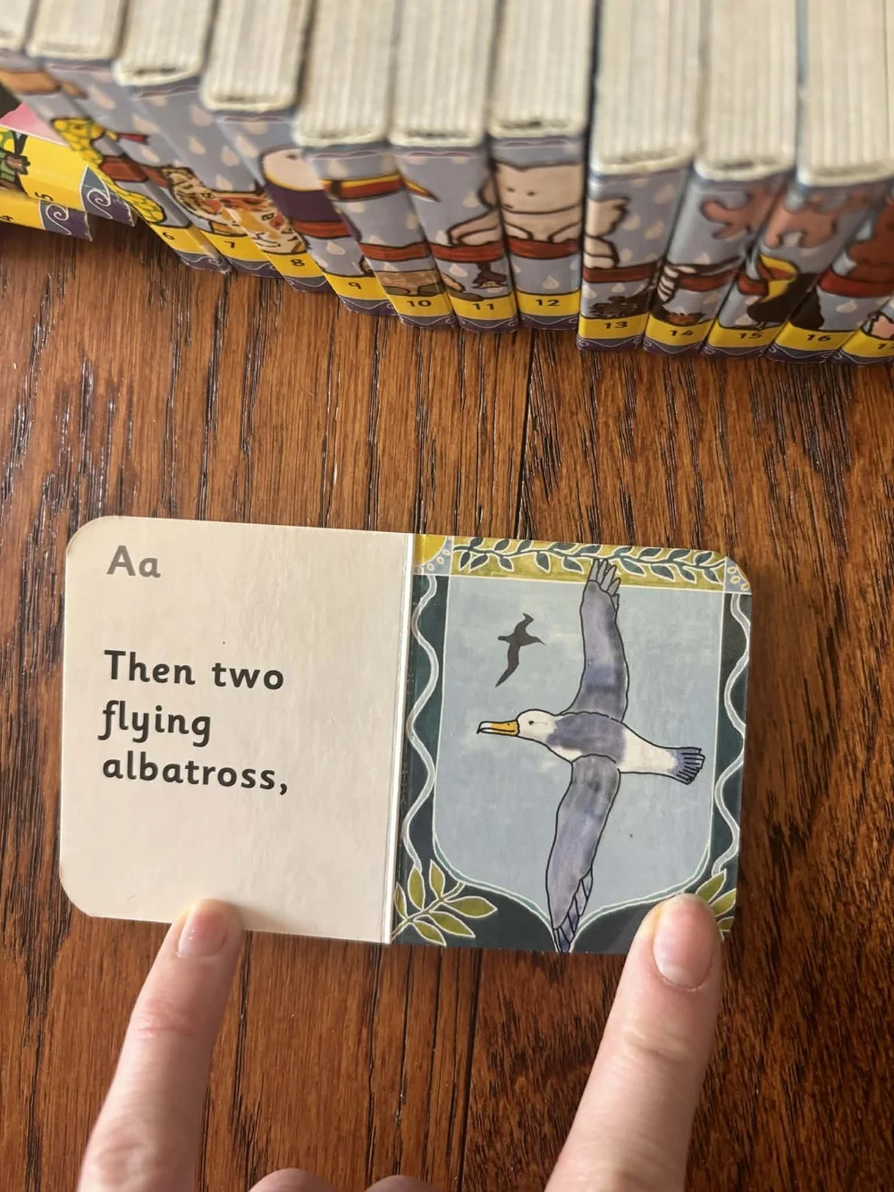 Alphabet Animal Books - Noah's Arc